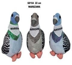 Gołąb 