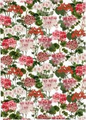 Ręcznik kuchenny - Pelargonia