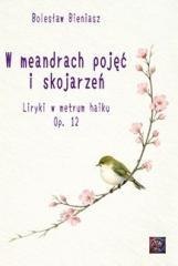 W meandrach pojęć i skojarzeń