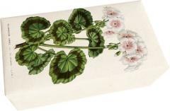 Mydło zapach pelargonii 200g
