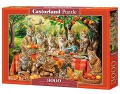 Puzzle 3000 Cat Family Reunion