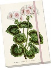 Notatnik ozdobny A5 STNOTE 148 Biała pelargonia