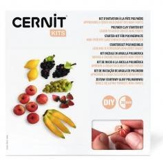 Mini owoce DIY glinka polimer