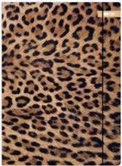Teczka A4+ z gumką Safari Leopard HAPPY COLOR
