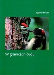 W granicach cudu