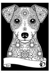 Kolorowanka Welwetowa A4 Jack Russell Terrier