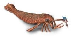 Collecta Jaekelopterus