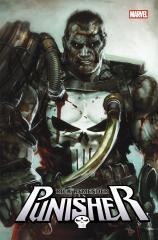 Punisher T.1