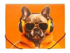 Teczka A4 PP na gumkę z nadrukiem Cool Dog