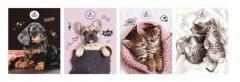 Zeszyt A5/80k kratka The Sweet Pets (5szt)