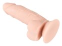 DILDO WITH A SUCTION CUP 13-7483