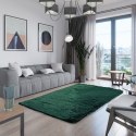 Dywan KARVAG kolor butelkowa zieleń nowoczesny styl nowoczesny 200x280 AmeliaHome - RUG/AH/KARVAG/NONSLIP/GREEN/200x280