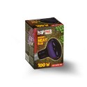 Żarówka Terra Night Heat Blue 100W