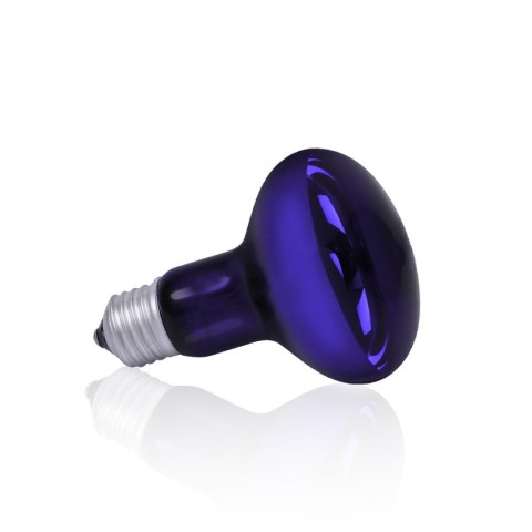 Żarówka Terra Night Heat Blue 60W