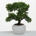 Drzewko bonsai w doniczce liściaste kolor zielony, tworzywo sztuczne, wysokość 33 cm