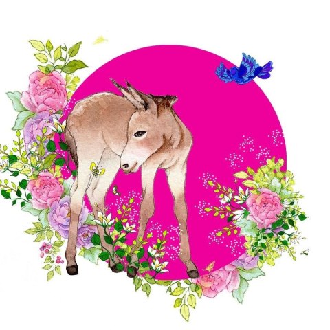 Karnet Swarovski kwadrat CL2003 Osioł