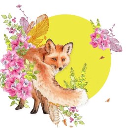 Karnet Swarovski kwadrat CL2005 Lis