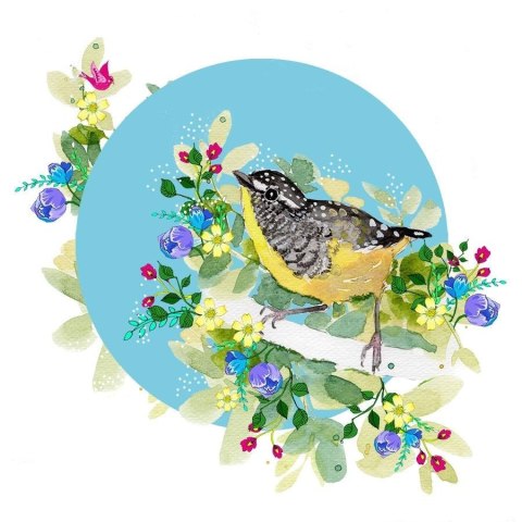 Karnet Swarovski kwadrat CL2007 Żólty ptaszek