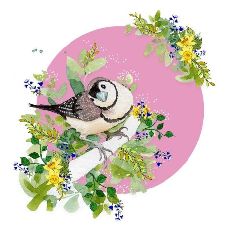 Karnet Swarovski kwadrat CL2010 Ptaszek